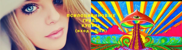 дмт Медногорск