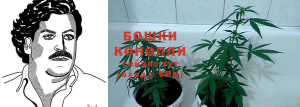 стаф Магадан