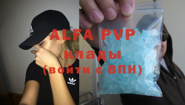 дмт Магас