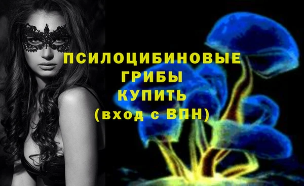 прущая мука Мегион
