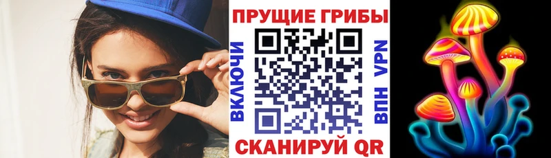 Купить  Облучье  Псилоцибиновые грибы прущие грибы 